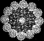 princess balgian lace belgium brussels bruges